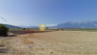 Αγροτεμάχια 30.000 τ.μ. για πώληση