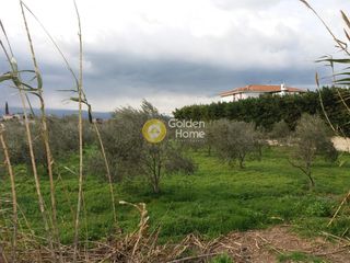 Οικόπεδο 1.208 τ.μ. για πώληση