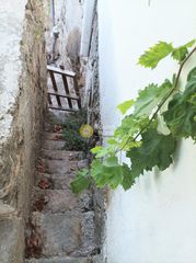 Μονοκατοικία 421 τ.μ. για πώληση, Ν. Ρεθύμνου, Γεροπόταμος-thumb-27