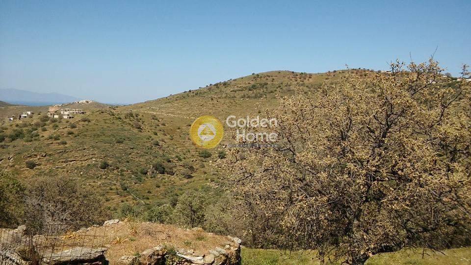 Αγροτεμάχια 16.000 τ.μ. προς πώληση, Οτζιάς
