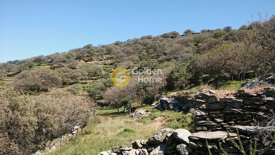 Αγροτεμάχια 16.000 τ.μ. προς πώληση, Οτζιάς