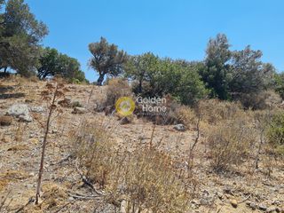 Οικόπεδο 5.760 τ.μ. για πώληση