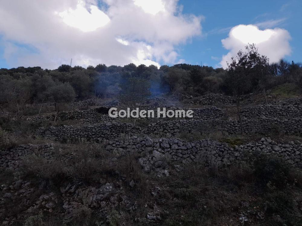 Αγροτεμάχια 1.213 τ.μ. προς πώληση, Σφακιώτες