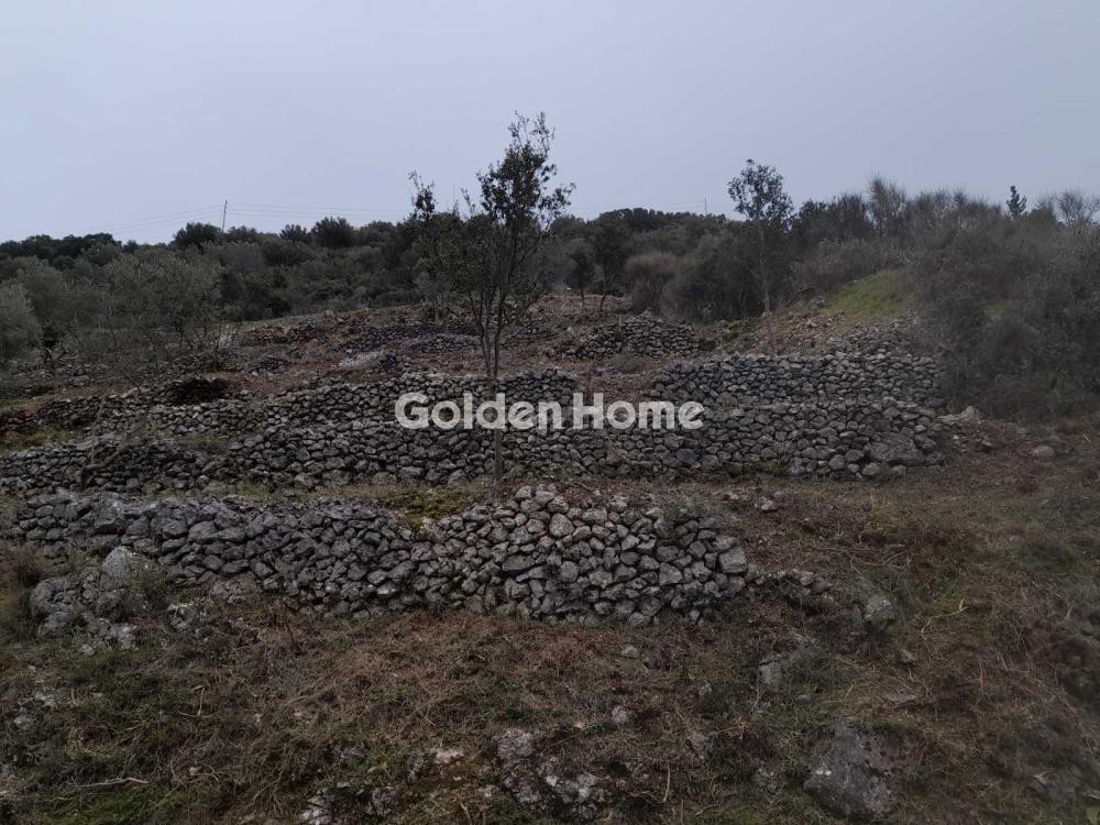Αγροτεμάχια 1.213 τ.μ. προς πώληση, Σφακιώτες