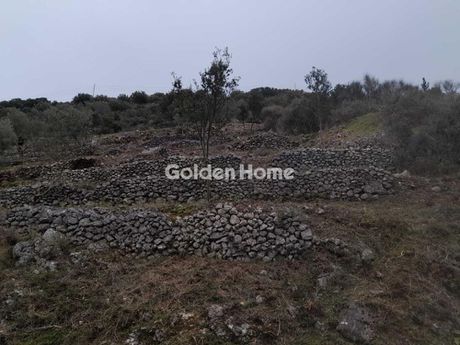 Αγροτεμάχια 1.213 τ.μ. προς πώληση