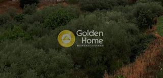 Αγροτεμάχια 1.213 τ.μ. για πώληση