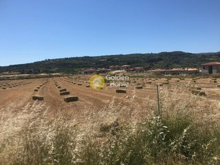 Οικόπεδο 1.800 τ.μ. για πώληση