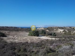 Αγροτεμάχια 12.650 τ.μ. για πώληση