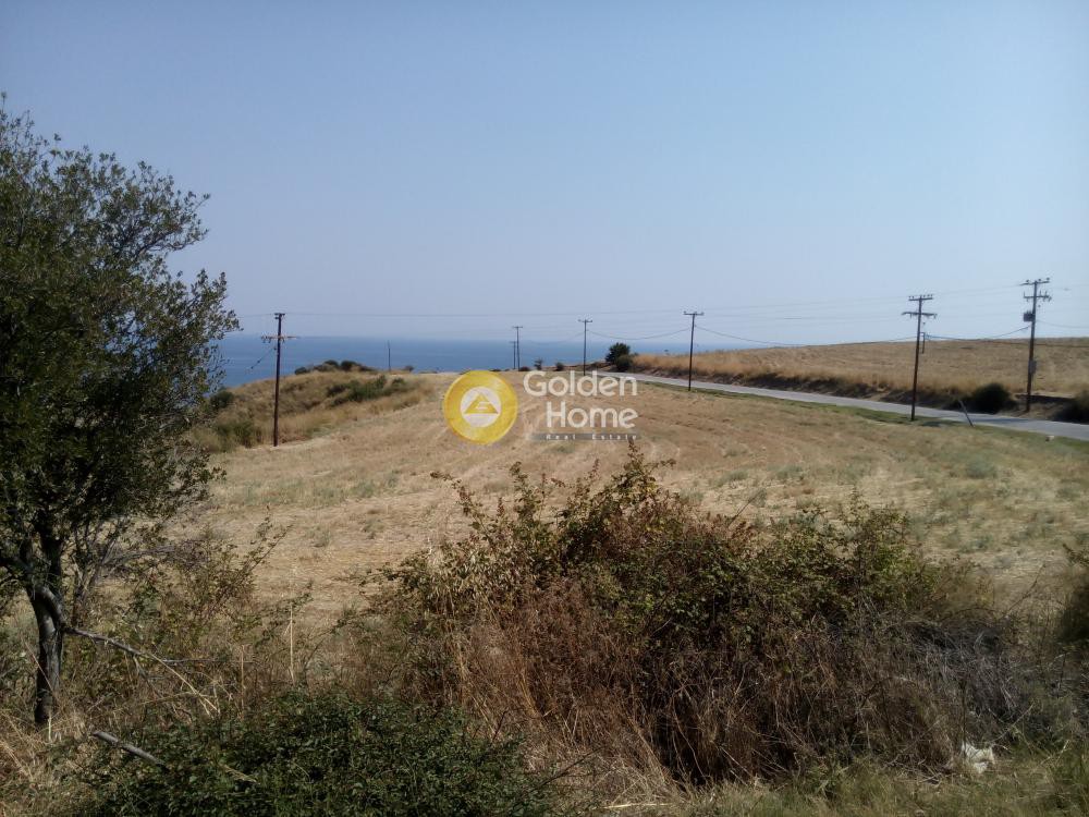 Αγροτεμάχια 15.202 τ.μ. προς πώληση, Λιμάνι Σταγείρων - Ακάνθου