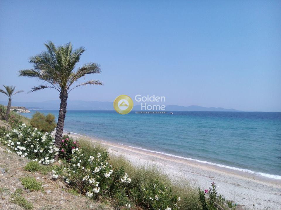 Αγροτεμάχια 15.202 τ.μ. προς πώληση, Λιμάνι Σταγείρων - Ακάνθου