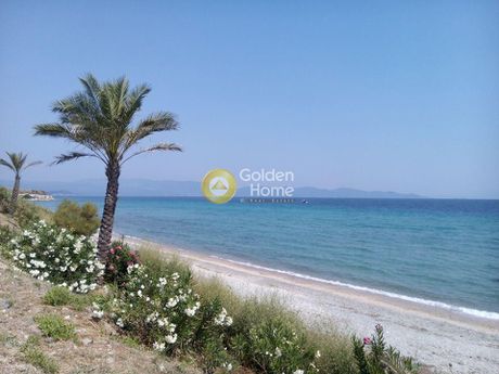 Αγροτεμάχια 15.202 τ.μ. προς πώληση