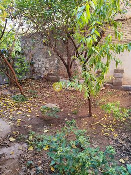 Land plot 145 sqm for sale