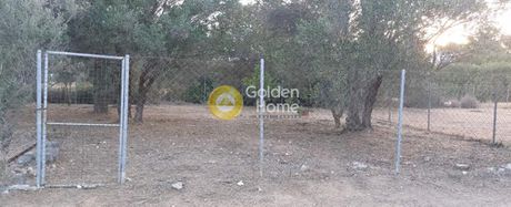 Land plot 225 sqm for sale
