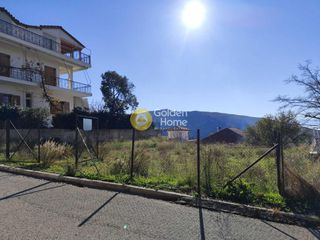 Οικόπεδο 316 τ.μ. για πώληση, Φωκίδα, Δελφοί-thumb-1