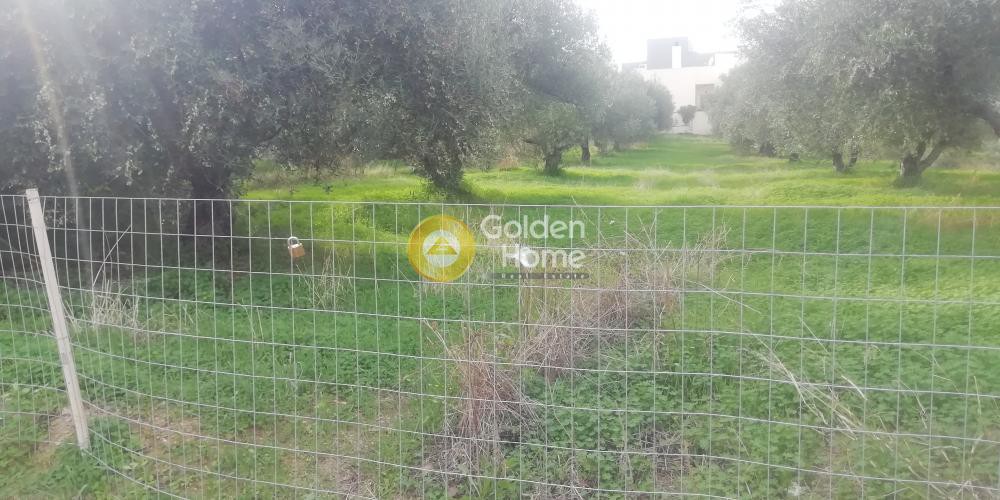 Οικόπεδο 1.072 τ.μ. προς πώληση, Βασιλείες