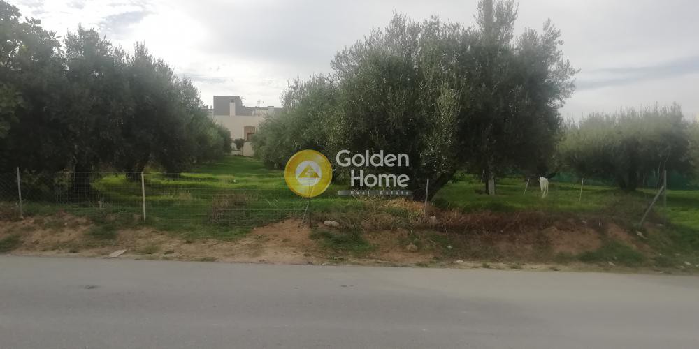 Οικόπεδο 1.072 τ.μ. προς πώληση, Βασιλείες