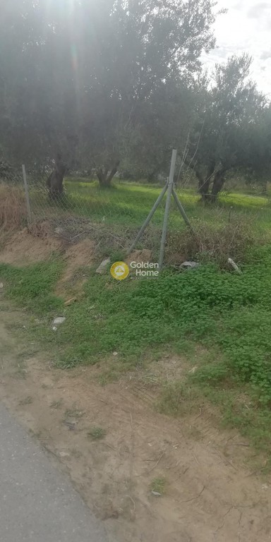 Οικόπεδο 1.072 τ.μ. προς πώληση, Βασιλείες