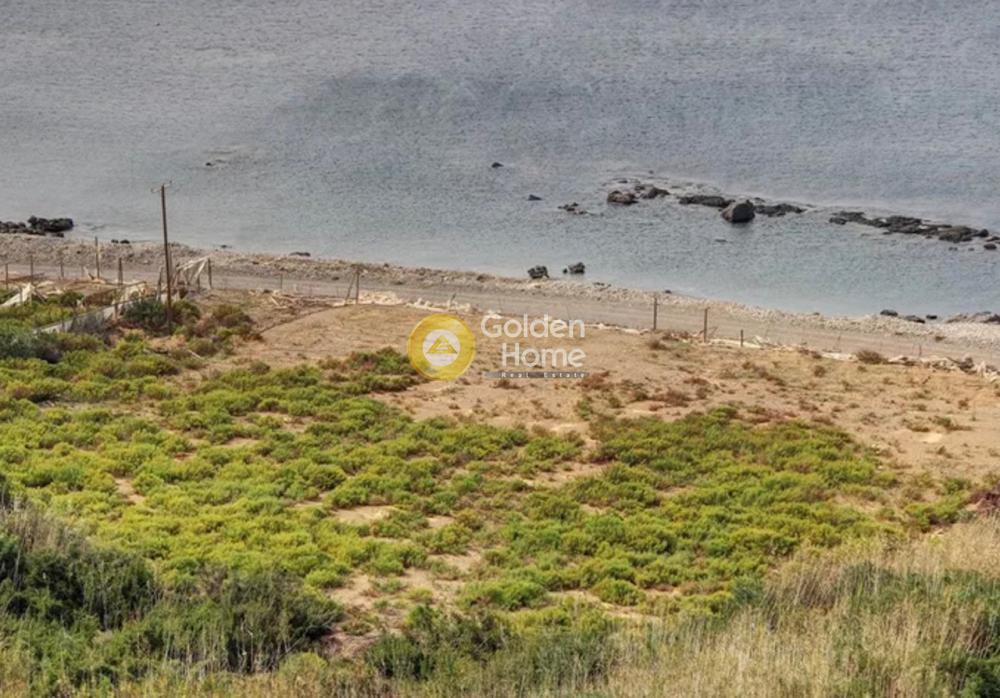 Αγροτεμάχια 4.000 τ.μ. προς πώληση, Σφηνάρι