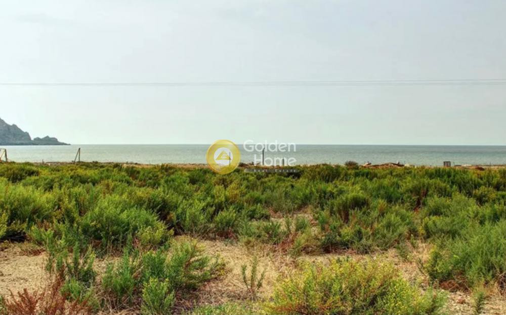Αγροτεμάχια 4.000 τ.μ. προς πώληση, Σφηνάρι