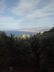 Αγροτεμάχια 2.180 τ.μ. για πώληση
