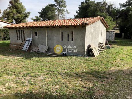 Αγροτεμάχια 9.840 τ.μ. για πώληση