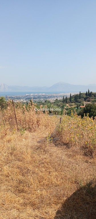 Αγροτεμάχια 6.000 τ.μ. για πώληση, Αχαΐα, Μεσσατίδα
