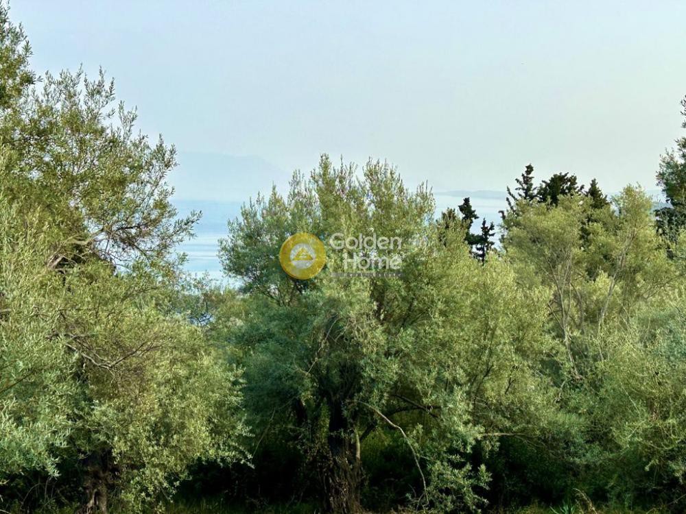 Οικόπεδο 2.806 τ.μ. πρός πώληση, Αιτωλοακαρνανία, Μεδεώνας