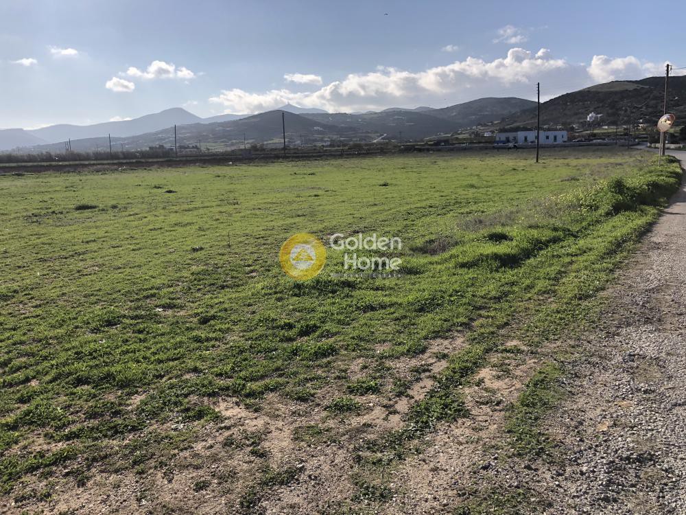 Οικόπεδο 9.680 τ.μ. προς πώληση, Ιστέρνι