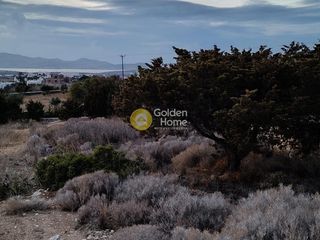 Οικόπεδο 862 τ.μ. πρός πώληση, Κυκλάδες, Πάρος-thumb-3