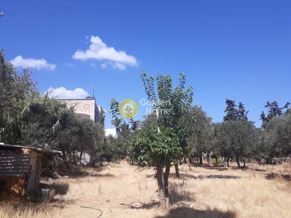 Οικόπεδο 2.575 τ.μ. προς πώληση, Αγία Μαρίνα Νέας Κυδωνίας