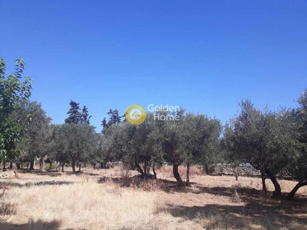 Οικόπεδο 2.575 τ.μ. προς πώληση, Αγία Μαρίνα Νέας Κυδωνίας