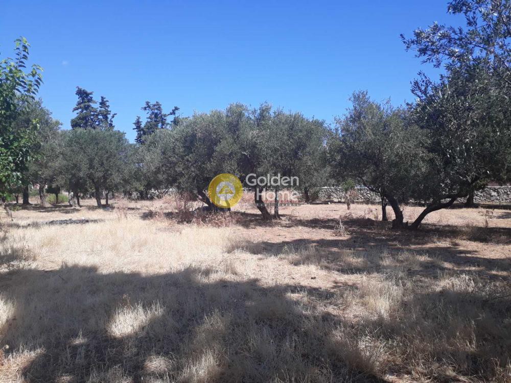 Οικόπεδο 2.575 τ.μ. προς πώληση, Αγία Μαρίνα Νέας Κυδωνίας