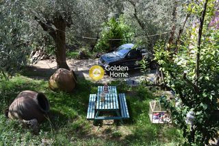 Οικόπεδο 48.479 τ.μ. για ενοικίαση, Μαγνησία, Μηλιές-thumb-3