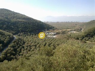 Οικόπεδο 48.479 τ.μ. για ενοικίαση