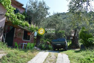 Οικόπεδο 48.479 τ.μ. για ενοικίαση, Μαγνησία, Μηλιές-thumb-2
