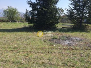 Αγροτεμάχια 4.687 τ.μ. για πώληση