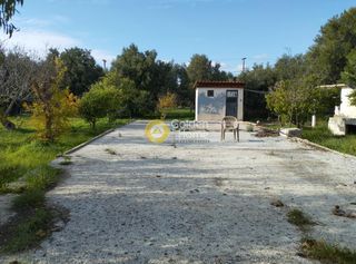 Οικόπεδο 1.055 τ.μ. για πώληση