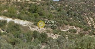 Αγροτεμάχια 12.000 τ.μ. για πώληση