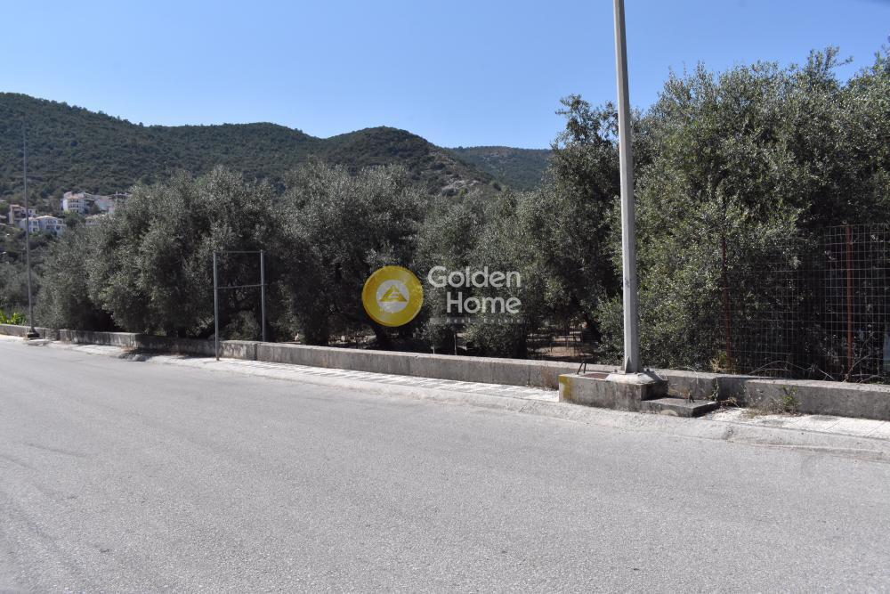 Οικόπεδο 1.069 τ.μ. προς πώληση, Γραικοχώρι