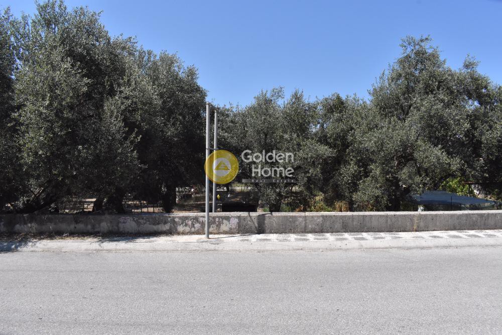 Οικόπεδο 1.069 τ.μ. προς πώληση, Γραικοχώρι