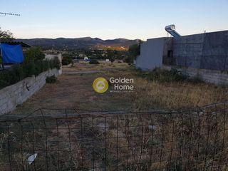 Αγροτεμάχια 292 τ.μ. για πώληση