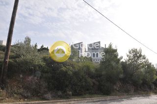Οικόπεδο 1.373 τ.μ. για πώληση