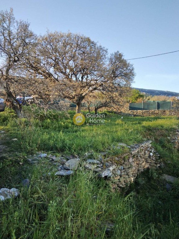 Οικόπεδο 3.584 τ.μ. προς πώληση, Χώρα Άνδρου