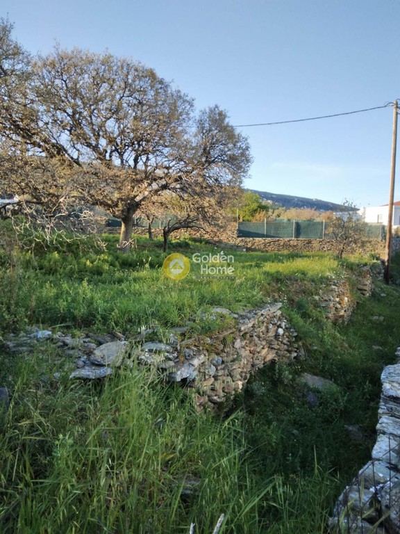 Οικόπεδο 3.584 τ.μ. προς πώληση, Χώρα Άνδρου
