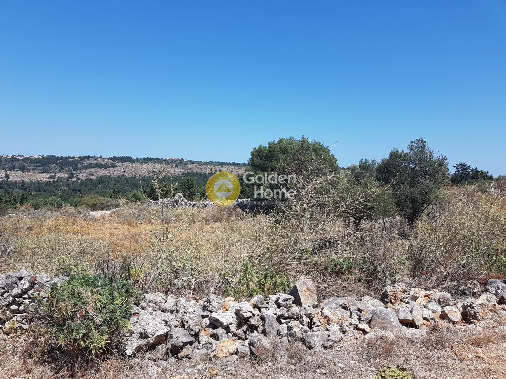 Οικόπεδο 1.006 τ.μ. προς πώληση, Πλάτανος Βάμου