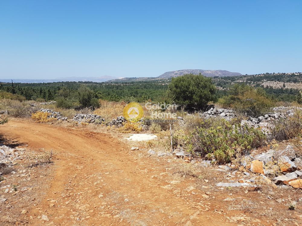 Οικόπεδο 1.006 τ.μ. προς πώληση, Πλάτανος Βάμου