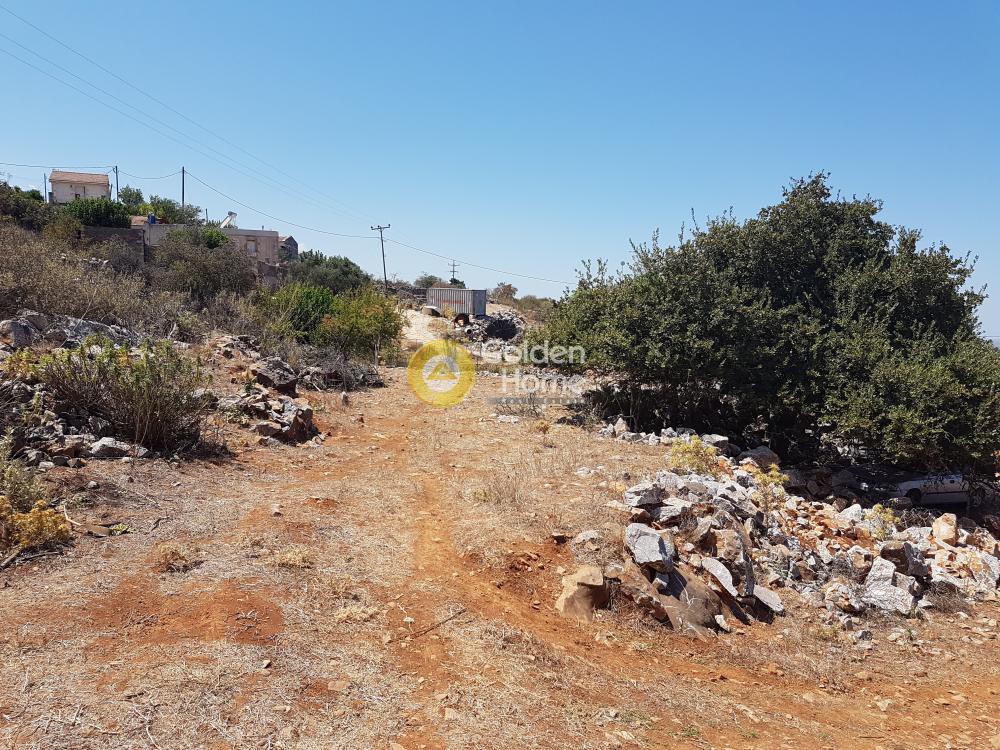 Οικόπεδο 1.006 τ.μ. προς πώληση, Πλάτανος Βάμου