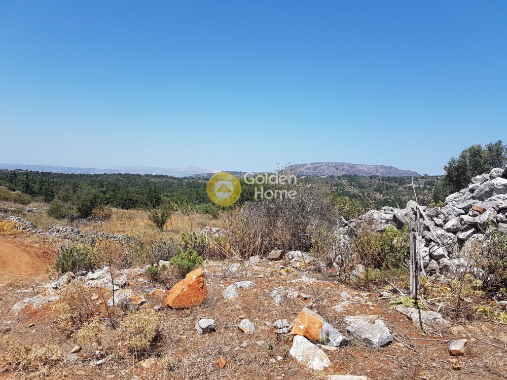 Οικόπεδο 1.006 τ.μ. προς πώληση, Πλάτανος Βάμου