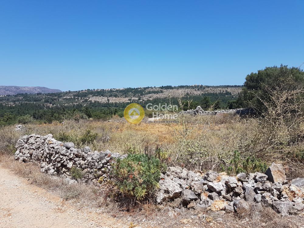 Οικόπεδο 1.006 τ.μ. προς πώληση, Πλάτανος Βάμου