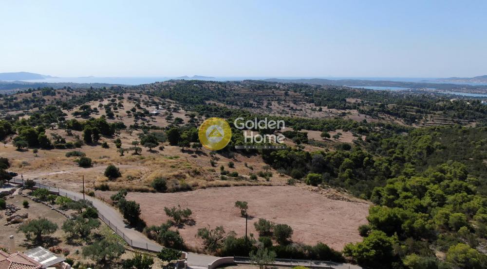 Οικόπεδο 4.494 τ.μ. προς πώληση, Βερβερούδα